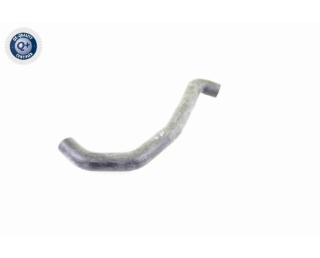 Radiator Hose Q+, original equipment manufacturer quality, Image 7