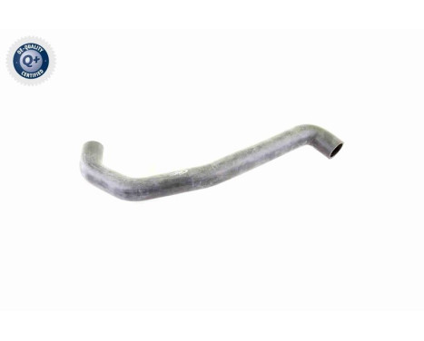 Radiator Hose Q+, original equipment manufacturer quality, Image 8