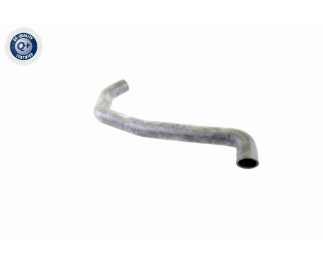 Radiator Hose Q+, original equipment manufacturer quality, Image 9