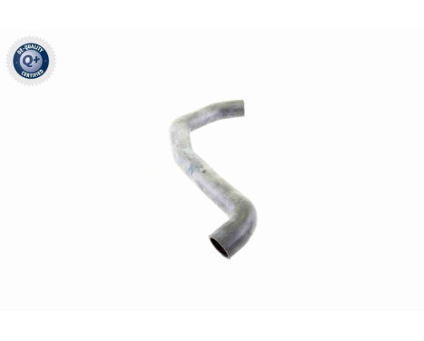Radiator Hose Q+, original equipment manufacturer quality, Image 10