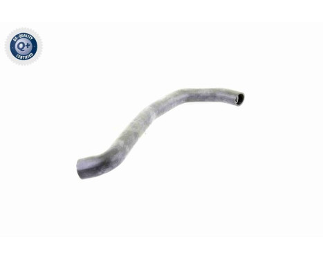 Radiator Hose Q+, original equipment manufacturer quality, Image 11
