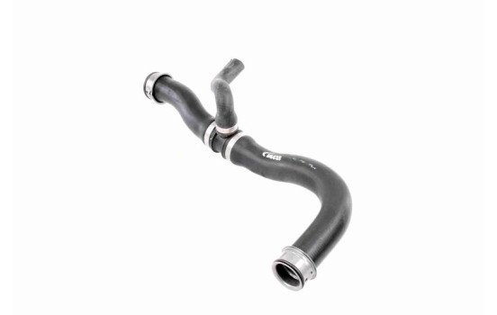 Radiator Hose Q+, original equipment manufacturer quality, Image 3
