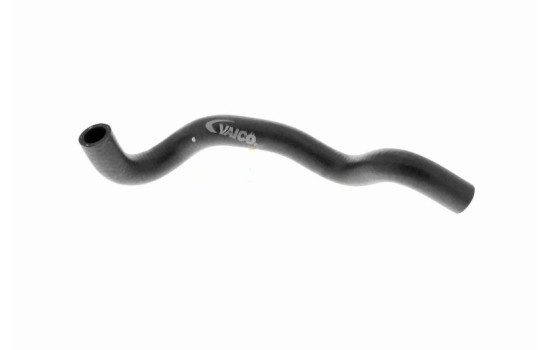 Radiator Hose Q+, original equipment manufacturer quality, Image 2
