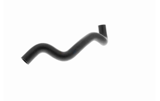 Radiator Hose Q+, original equipment manufacturer quality, Image 5