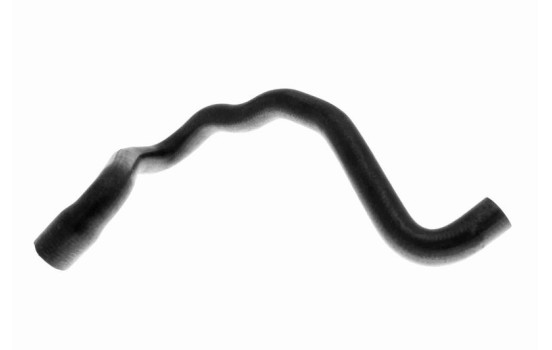 Radiator Hose Q+, original equipment manufacturer quality