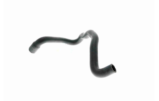 Radiator Hose Q+, original equipment manufacturer quality, Image 3