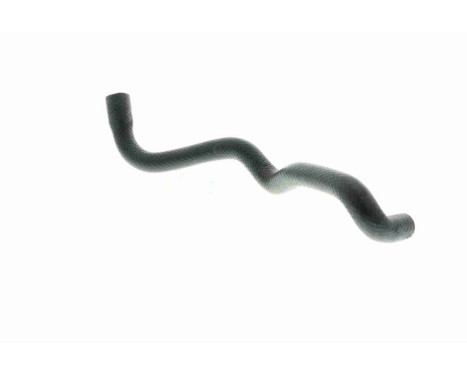 Radiator Hose Q+, original equipment manufacturer quality, Image 7