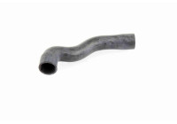 Radiator Hose Q+, original equipment manufacturer quality