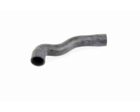 Radiator Hose Q+, original equipment manufacturer quality