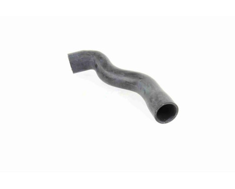 Radiator Hose Q+, original equipment manufacturer quality, Image 3