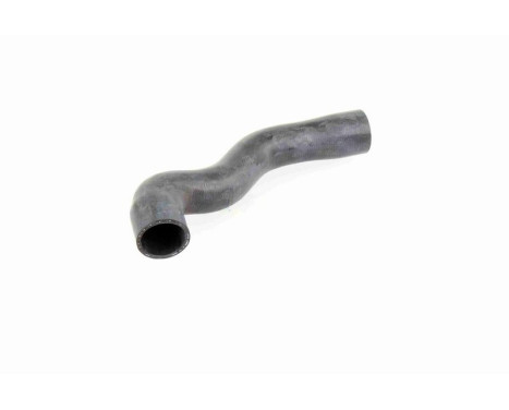 Radiator Hose Q+, original equipment manufacturer quality, Image 9