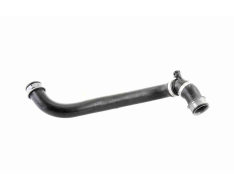 Radiator Hose Q+, original equipment manufacturer quality, Image 4