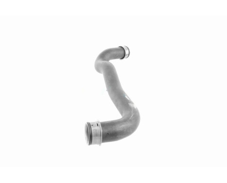 Radiator Hose Q+, original equipment manufacturer quality, Image 4