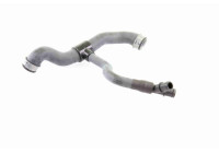 Radiator Hose Q+, original equipment manufacturer quality