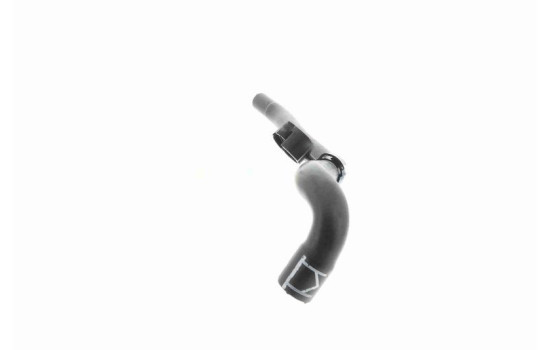 Radiator Hose Q+, original equipment manufacturer quality, Image 4