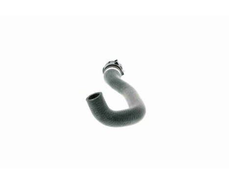 Radiator Hose Q+, original equipment manufacturer quality, Image 4