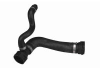 Radiator Hose Q+, original equipment manufacturer quality