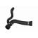 Radiator Hose Q+, original equipment manufacturer quality