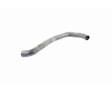 Radiator Hose Q+, original equipment manufacturer quality, Image 3