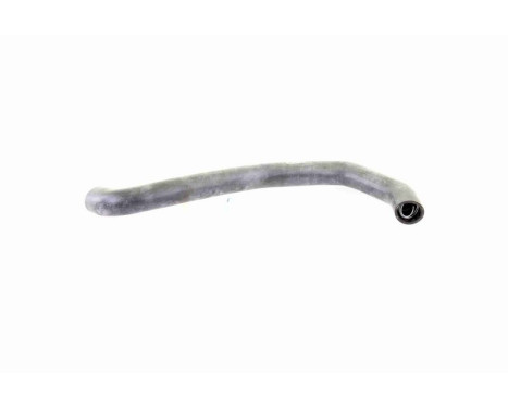 Radiator Hose Q+, original equipment manufacturer quality, Image 4