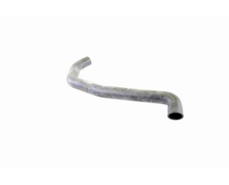 Radiator Hose Q+, original equipment manufacturer quality, Image 9