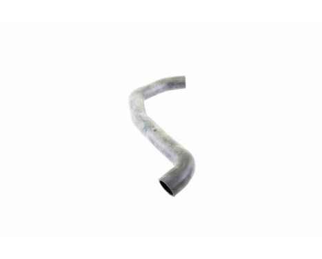 Radiator Hose Q+, original equipment manufacturer quality, Image 10