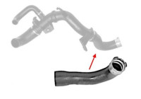 Radiator hose