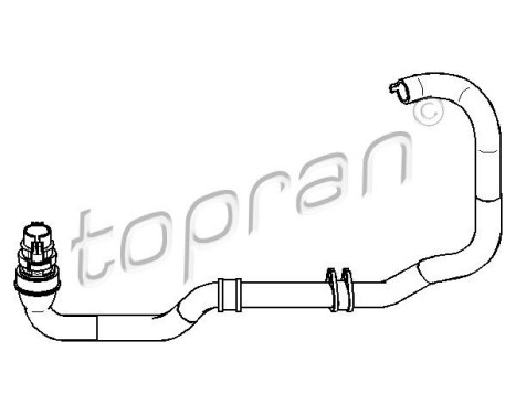 Radiator Hose