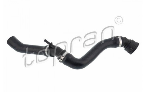 Radiator Hose
