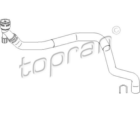 Radiator Hose