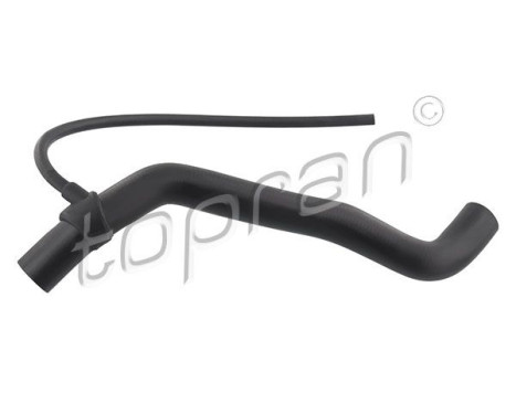 Radiator Hose