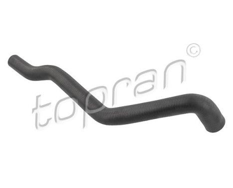 Radiator Hose