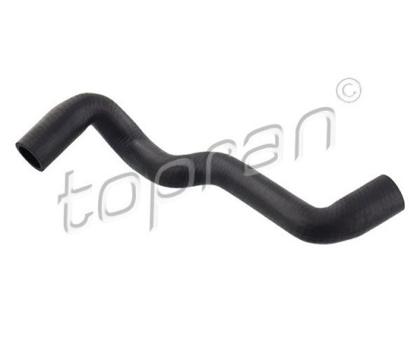 Radiator Hose