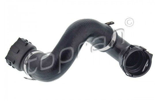 Radiator Hose