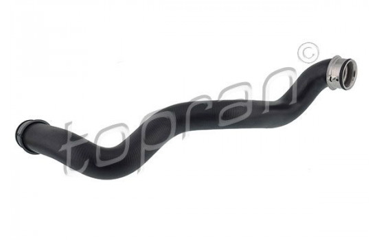 Radiator Hose