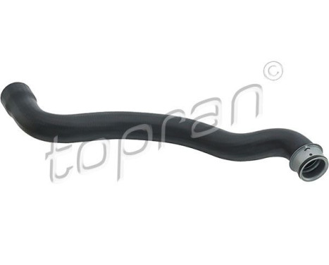 Radiator Hose