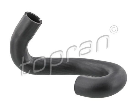 Radiator Hose