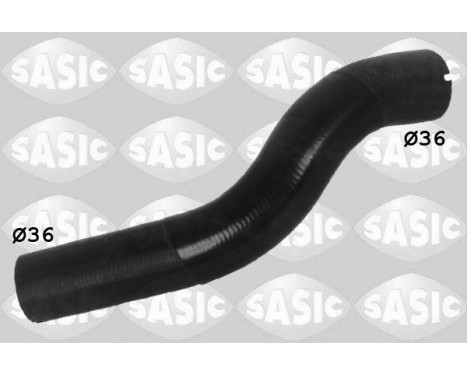 Radiator Hose