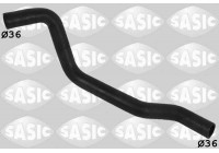 Radiator Hose