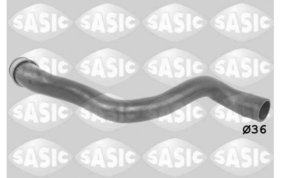 Radiator Hose