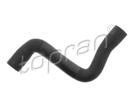 Radiator Hose