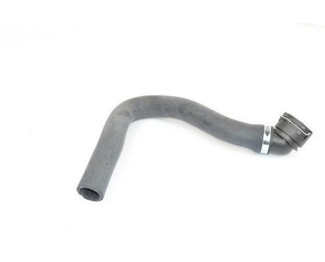 radiator hose