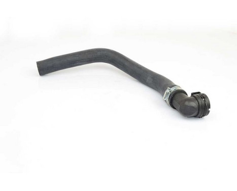 radiator hose