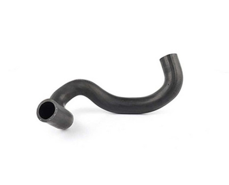 radiator hose
