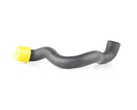 radiator hose