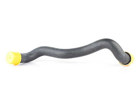 radiator hose