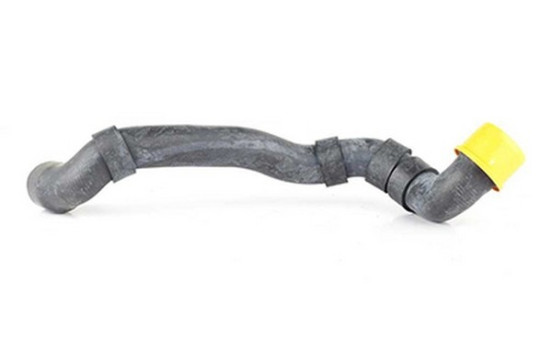 radiator hose