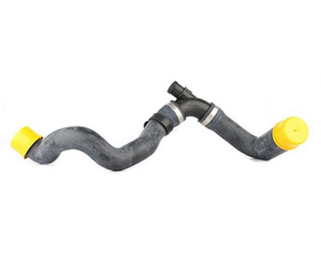 radiator hose