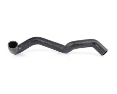 radiator hose