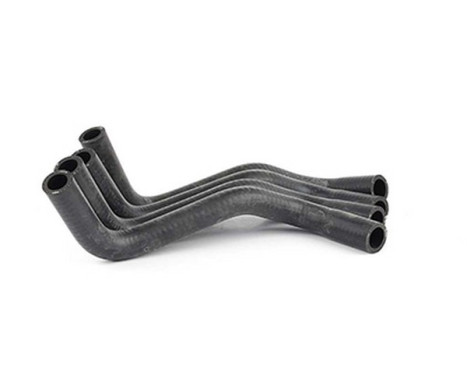 radiator hose